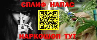 стаф Камышлов