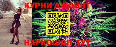 стаф Камышлов