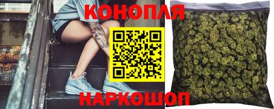 стаф Камышлов