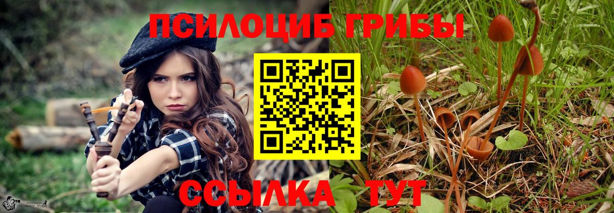 Галлюциногенные грибы GOLDEN TEACHER Барабинск