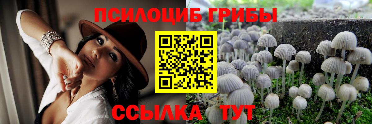 купить закладку  Вход с VPN  Барабинск  Галлюциногенные грибы MAGIC MUSHROOMS 